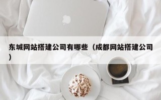 丰城东城网站搭建公司有哪些（成都网站搭建公司）